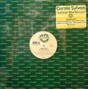 2 x 12inch Vinyl Single - Carole Sylvan - Just Doin' What We Love