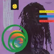 12inch Vinyl Single - Caron Wheeler - Livin' In The Light