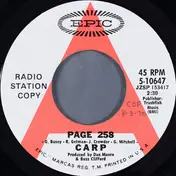 Carp - Page 258 / Pine Creek Bridge