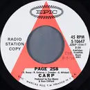 7inch Vinyl Single - Carp - Page 258 / Pine Creek Bridge