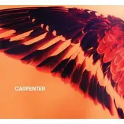 CARPENTER - Sea to Sky