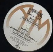 LP - Carpenters - Now & Then