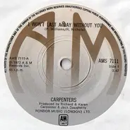 Carpenters - I Won't Last A Day Without You