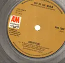 7inch Vinyl Single - Carpenters - Top Of The World - Solid Centre