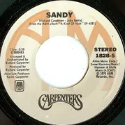 7inch Vinyl Single - Carpenters - I Need To Be In Love