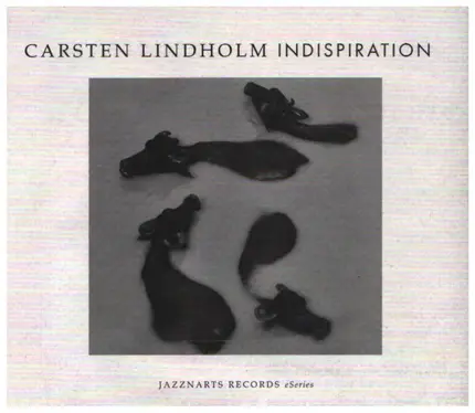 Carsten Lindholm - Indispiration