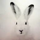 12inch Vinyl Single - Carsten Rausch - Ballin Ep