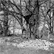 Carsten Rausch - KAKELDÜTT EP