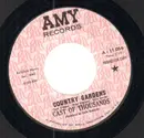 7inch Vinyl Single - Cast Of Thousands - Country Gardens - Promo