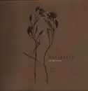 LP - Castanets - In The Vines