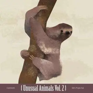 CASTANETS/DIRTY PROJECTOR - UNUSUAL ANIMALS 2 -10'-