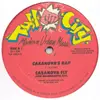 12inch Vinyl Single - Casanova Fly - Casanova's Rap - Red Label