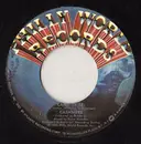 7inch Vinyl Single - Cashmere - Can I