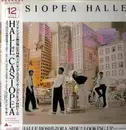 12inch Vinyl Single - Casiopea - Halle - + OBI