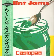 Casiopea - Mint Jams