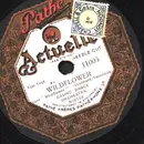 Schellack - Casino Dance Orchestra - Wildoflower / Bambalina - 90 RPM