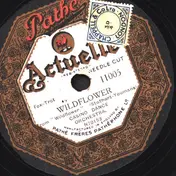 Casino Dance Orchestra - Wildoflower / Bambalina