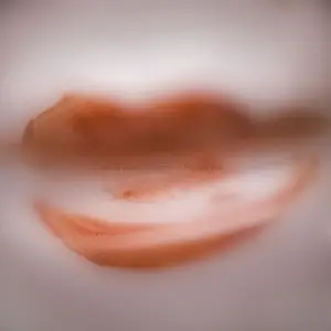 Cass & Gianni Brezzo - Masala Kiss