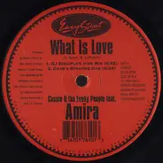 Cassio Ware & Funky People Feat. Amira - What Is Love