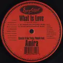 12inch Vinyl Single - Cassio Ware & Funky People Feat. Amira - What Is Love