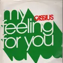 12inch Vinyl Single - Cassius - Feeling For You