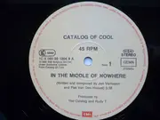 12inch Vinyl Single - Catalog Of Cool - In The Middle Of Nowhere