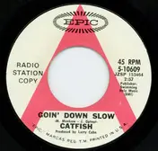 Catfish - Goin' Down Slow / Jump In The River