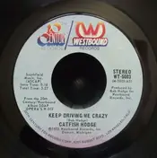 Catfish Hodge - Keep Driving Me Crazy / We Got Love In Our House