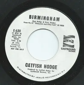 Catfish Hodge - Birmingham