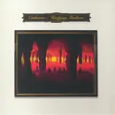 Double LP - Catharsis - Terrifying Shadows
