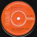 7inch Vinyl Single - Catherine Howe - Until The Morning Comes - ships in company sleeve
