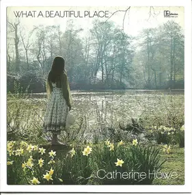 catherine howe - What a Beautiful Place