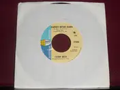 Cathy Rich - Darkest Before Dawn / Wishyouawish