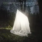 cats on fire - All Blackshirts to Me