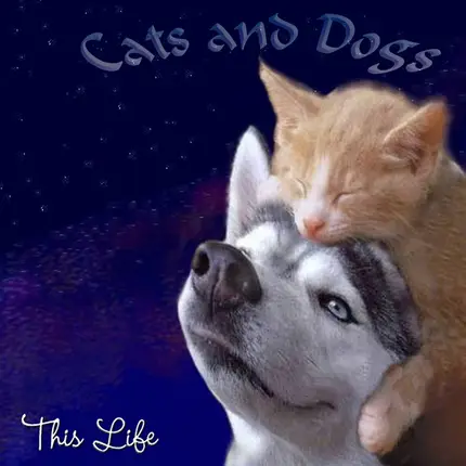 Cats & Dogs - This Life
