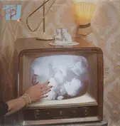 Cats TV