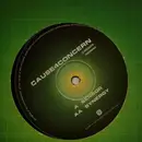 12inch Vinyl Single - Cause 4 Concern - Sensor / Synergy
