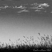 Cavil - Mare's Tails