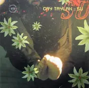 cay taylan - Su