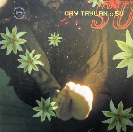 Cay Taylan - Su