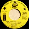 7inch Vinyl Single - Caz Allen - Skinny Winnie