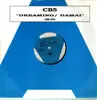 12inch Vinyl Single - Cb5 - Dreaming