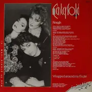 12inch Vinyl Single - Centerfold - Rough