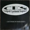 12inch Vinyl Single - Centipede Experimental Sequences - Jay Endz In Paradize