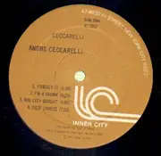LP - Ceccarelli - Ceccarelli