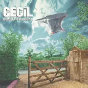 CD - Cecil - Bombar Diddlah