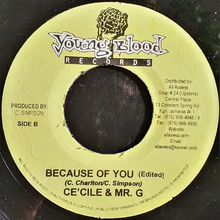 Ce'cile & Mr. G - Because Of You