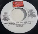 7inch Vinyl Single - Ce'cile - Which Gal Di Hotter (PG 13)
