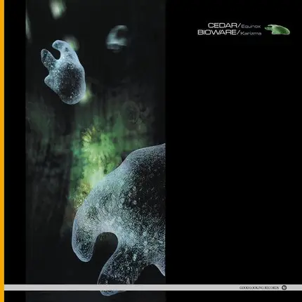 Cedar / Bio-Wire - Equinox / Karizma