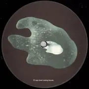 12inch Vinyl Single - Cedar / Bio-Wire - Equinox / Karizma